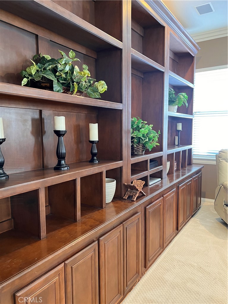 36335 Canyon Terrace Property Photo 15