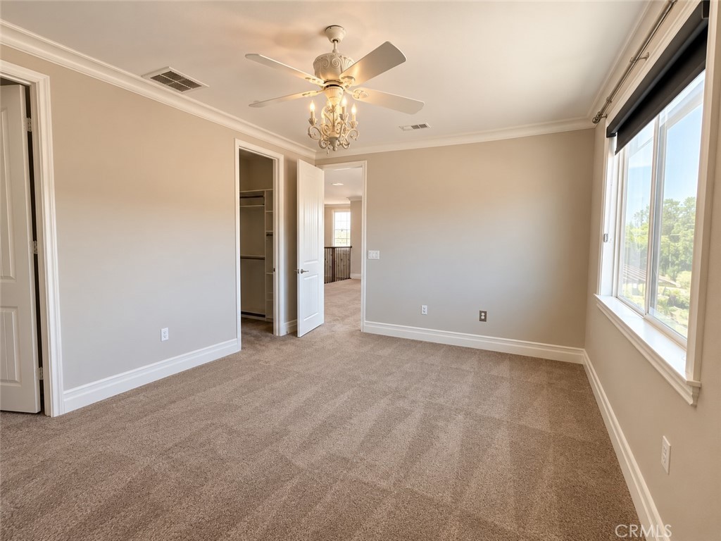 24219 Summer Creek Property Photo 23