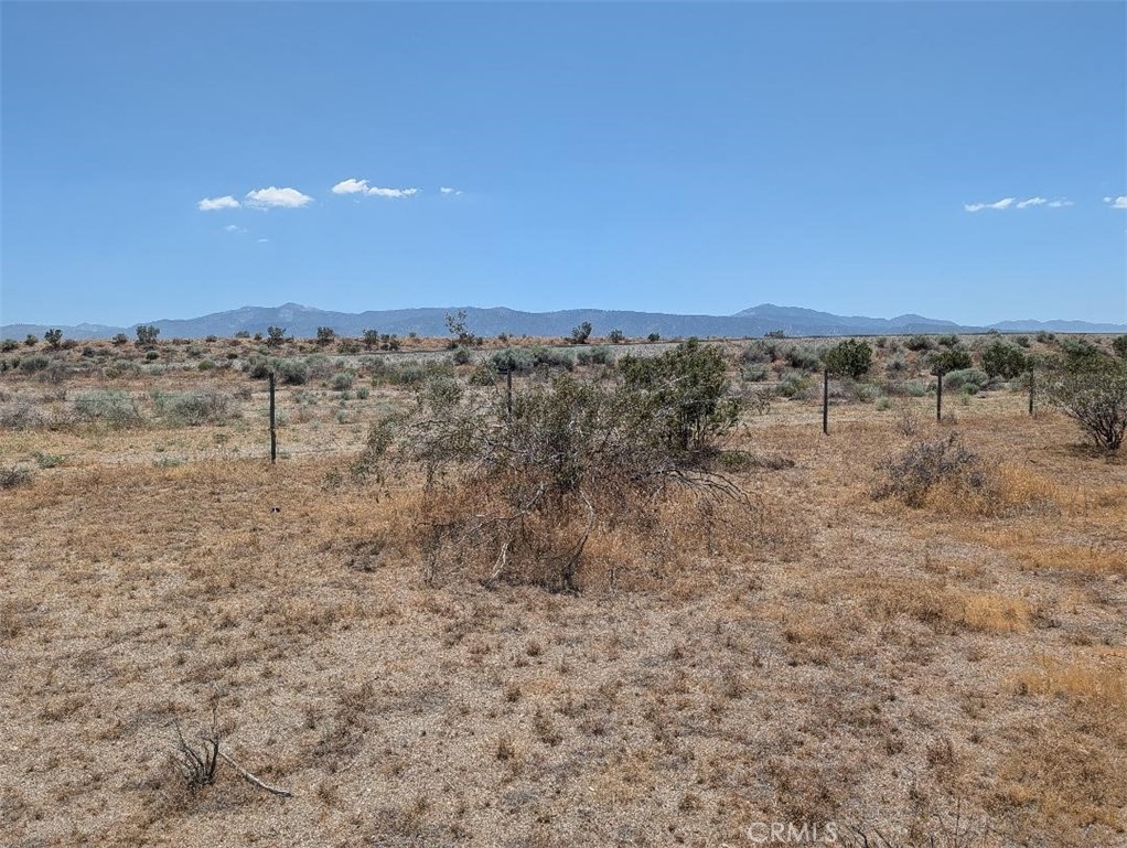 123 Dos Palmas Property Photo 1