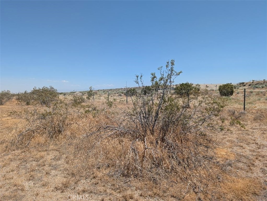 123 Dos Palmas Property Photo 2