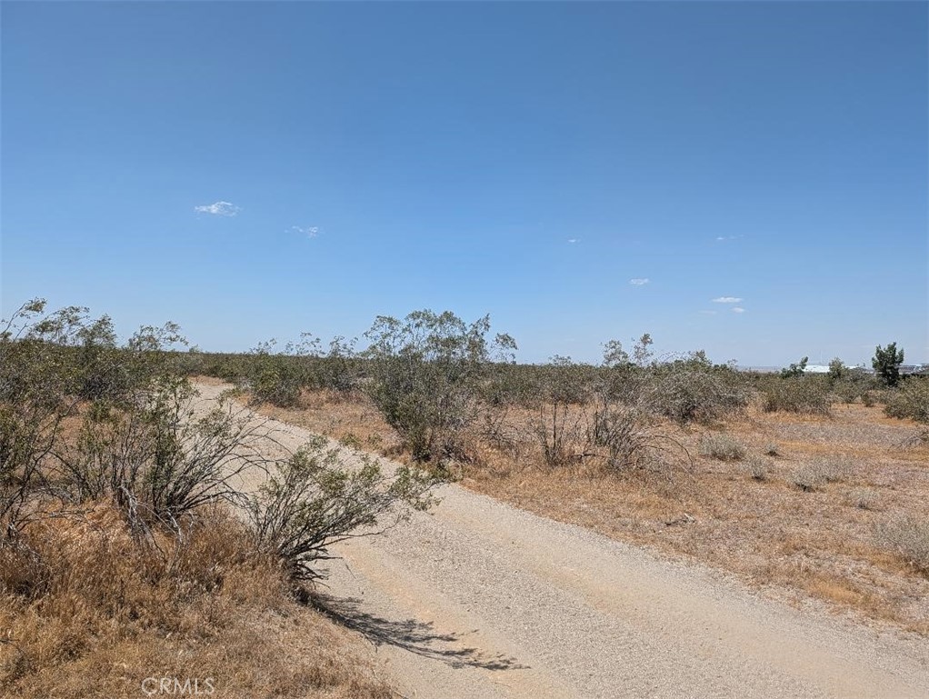 123 Dos Palmas Property Photo 3