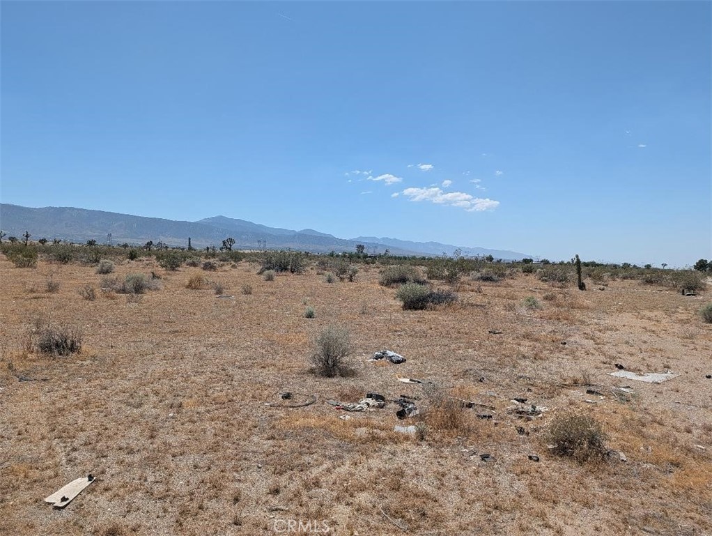 7 Dos Palmas Property Photo 1