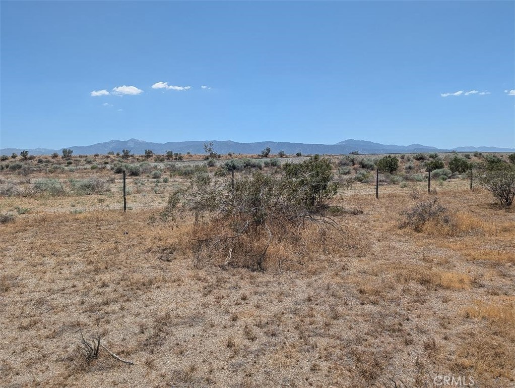 7 Dos Palmas Property Photo 2