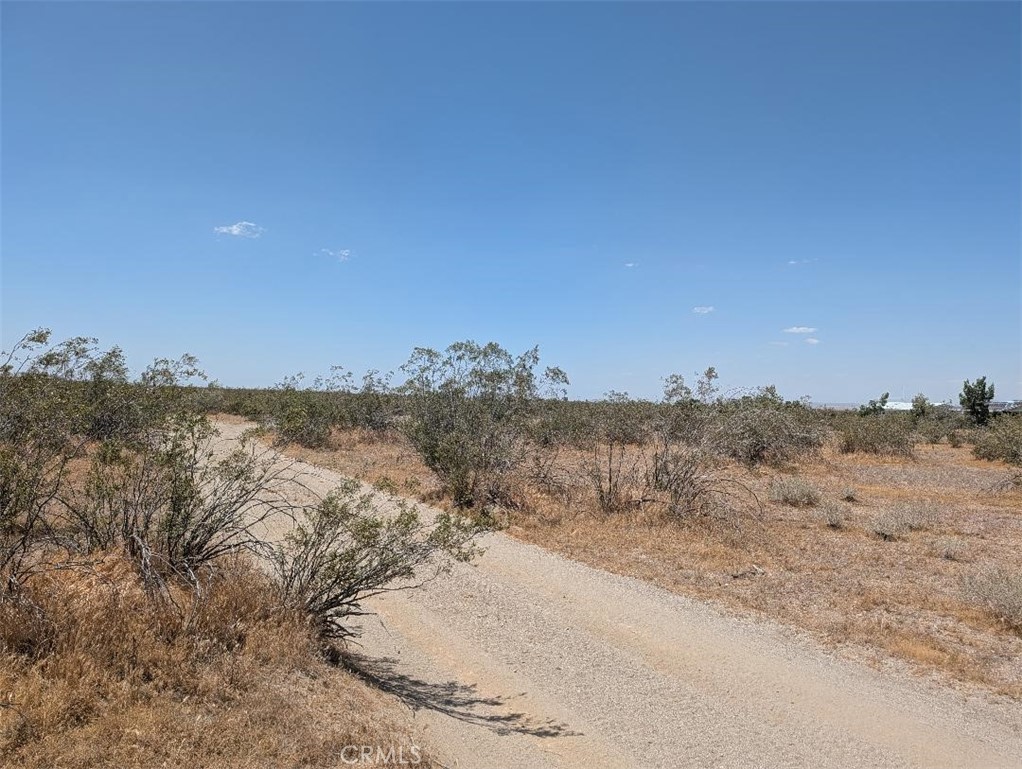 7 Dos Palmas Property Photo 4