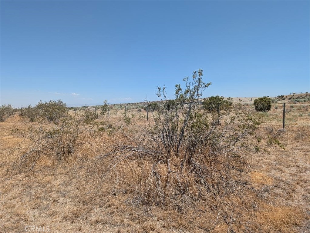 7 Dos Palmas Property Photo 5