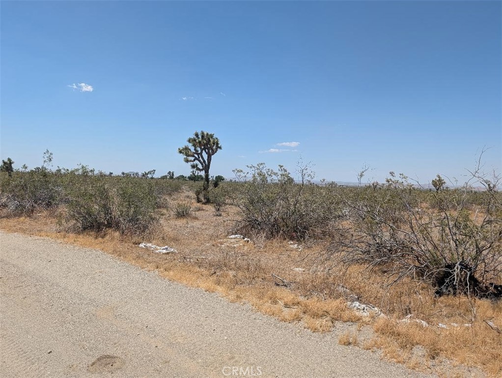 3 Dos Palmas Property Photo 2