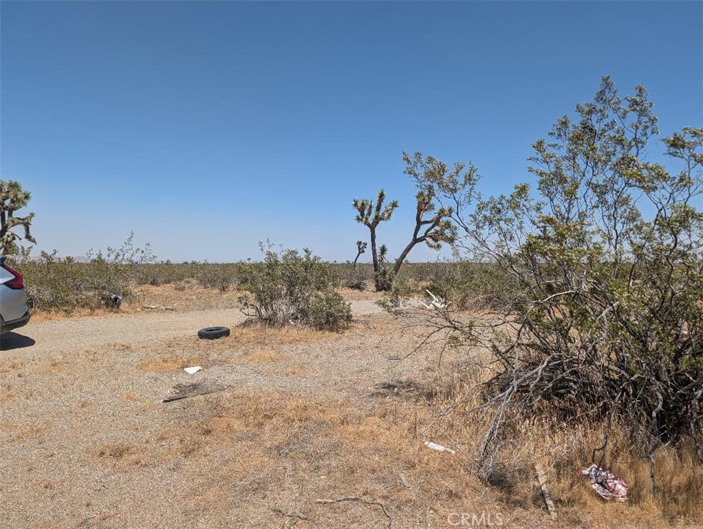 3 Dos Palmas Property Photo 4