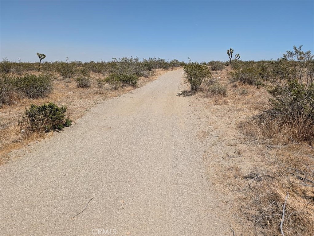 3 Dos Palmas Property Photo 5