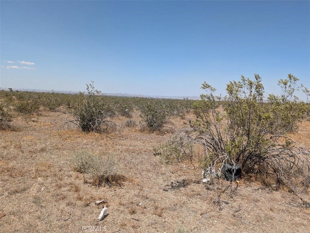6 Dos Palmas Property Photo 1