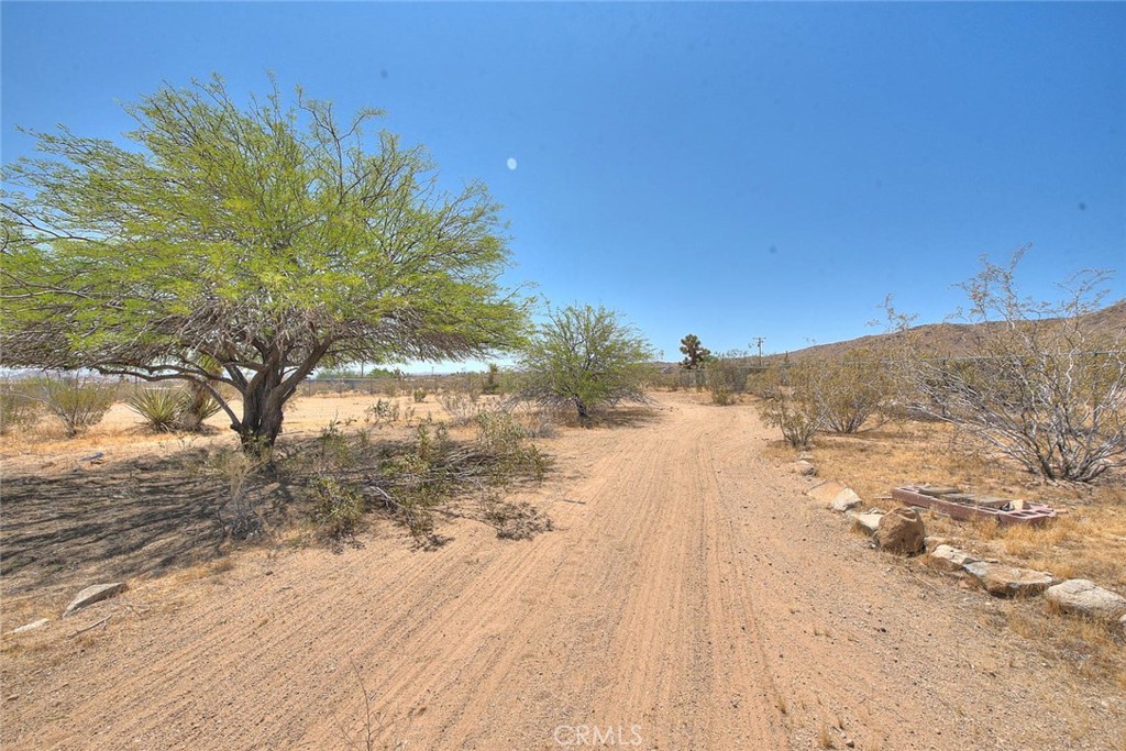 55525 Ornelas Lane Property Photo 41