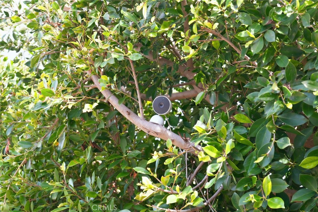 4027 La Salle Property Photo 43