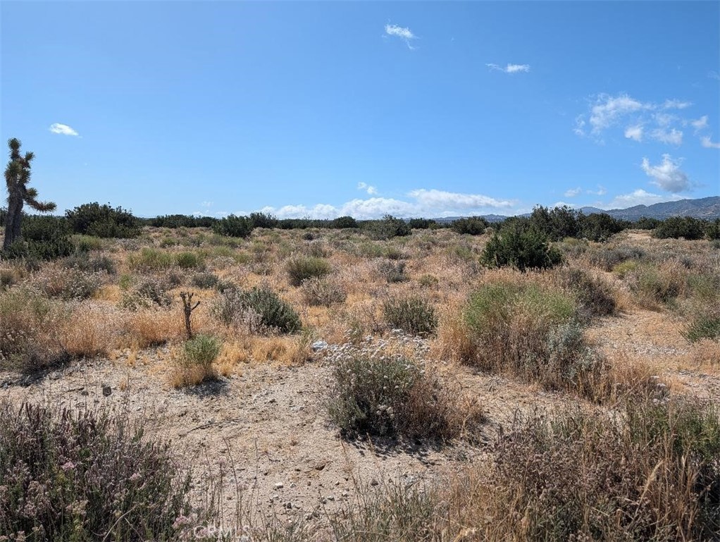 33 Antelope Property Photo 1