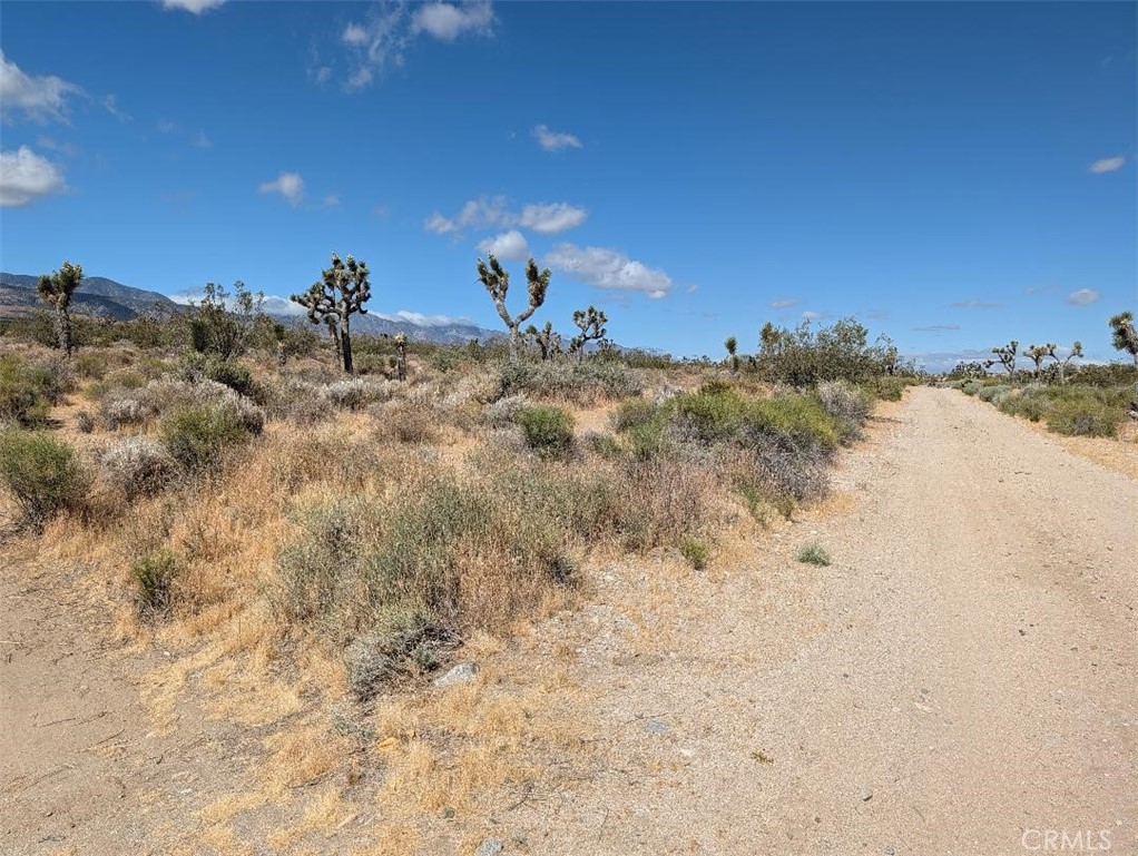 27 248th Property Photo 8