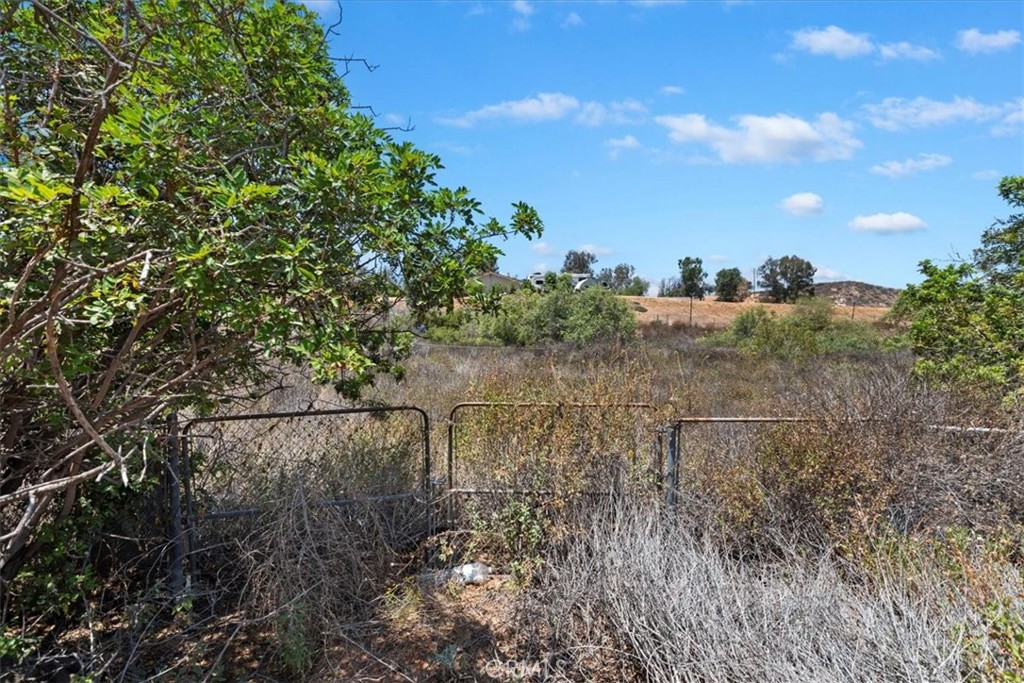 20061 Lounsberry Property Photo 54