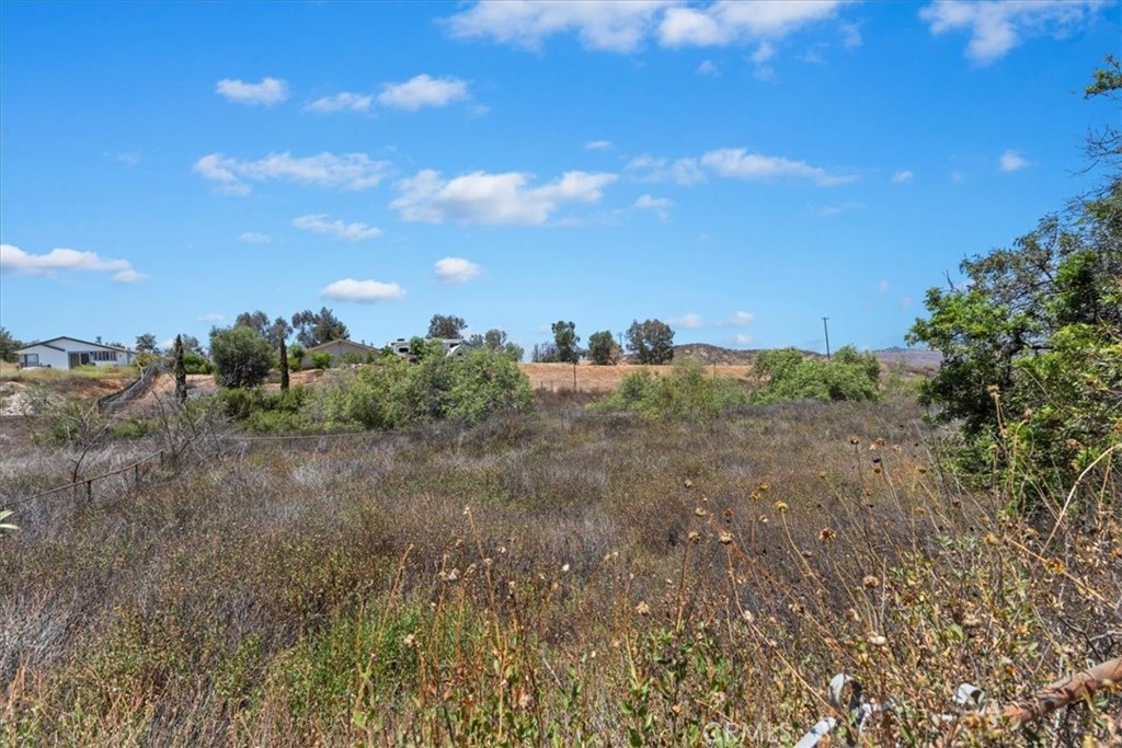 20061 Lounsberry Property Photo 55