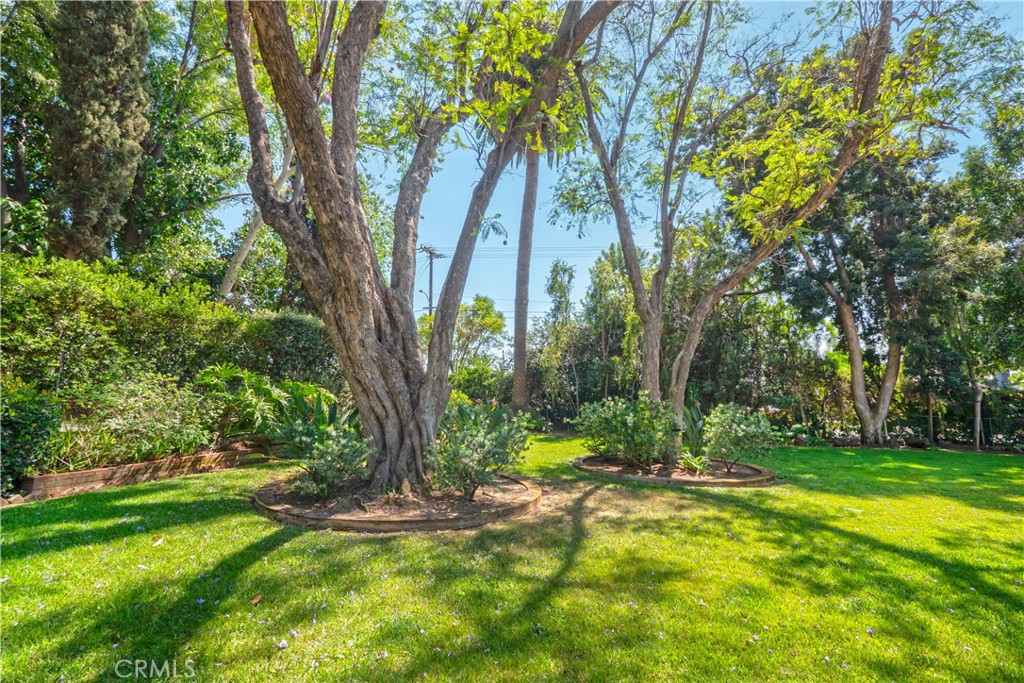 2083 Grace Property Photo 54