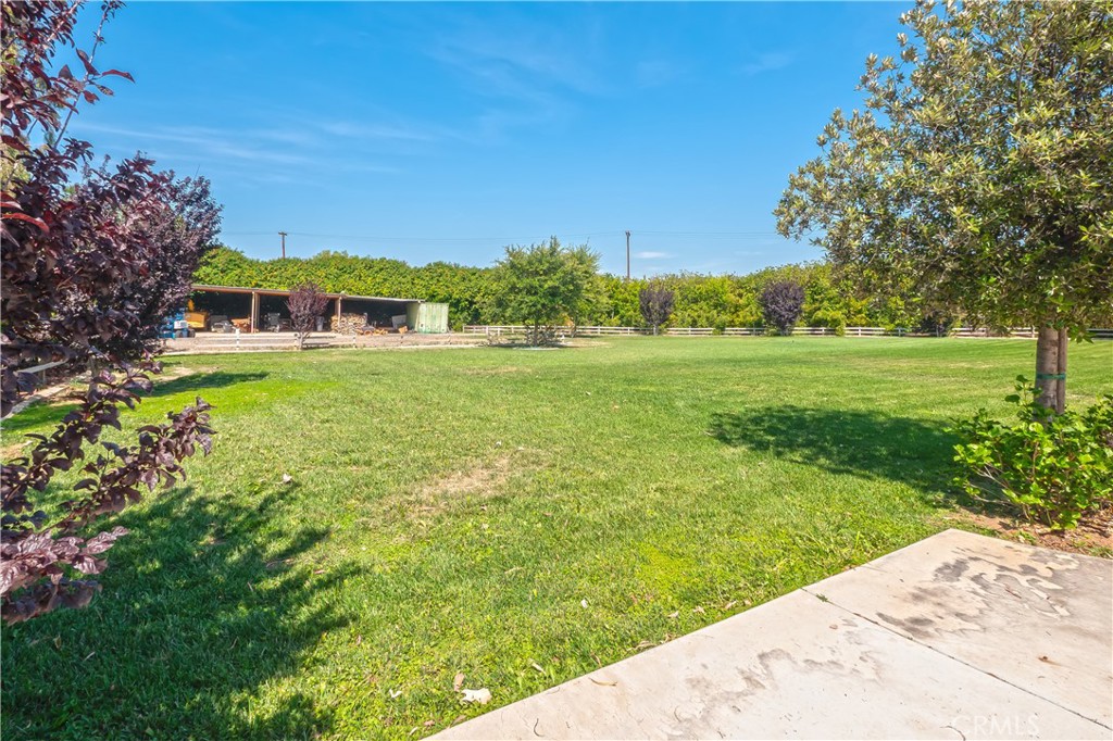 2083 Grace Property Photo 55