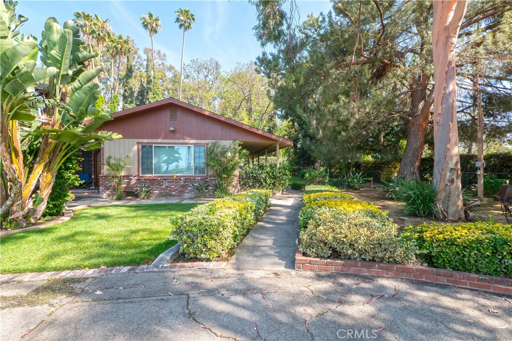2083 Grace Property Photo 60