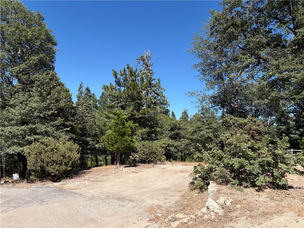 246 Chipmunk Property Photo 9