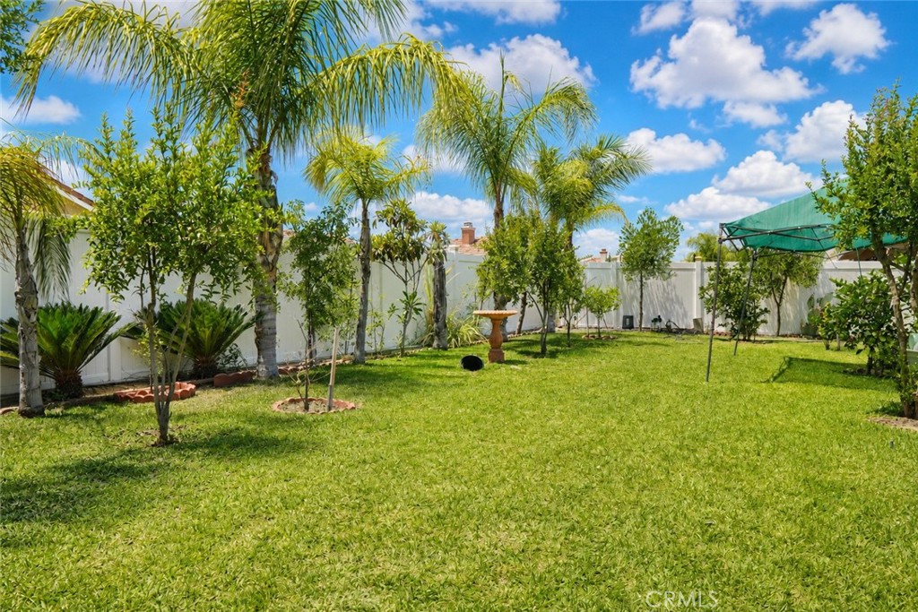 3514 Carlisle St Property Photo 15