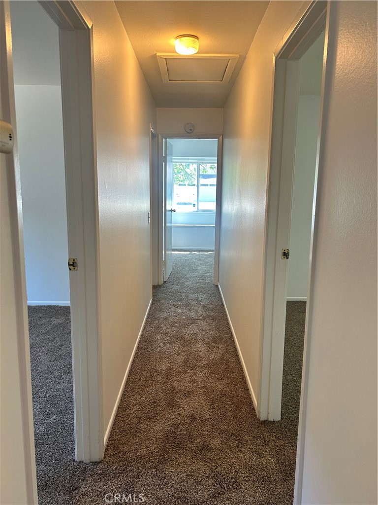 3385 Valencia Hill Property Photo 14