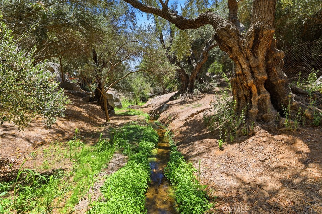 17115 Ranchero Property Photo 58