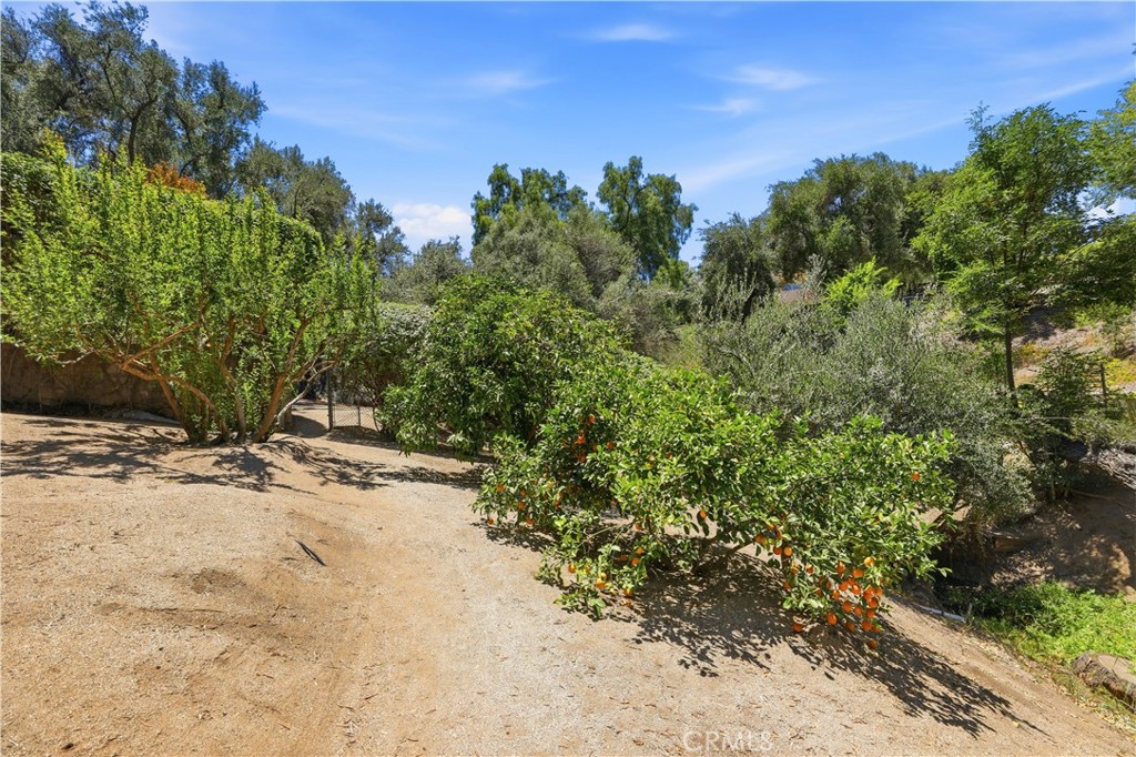 17115 Ranchero Property Photo 59