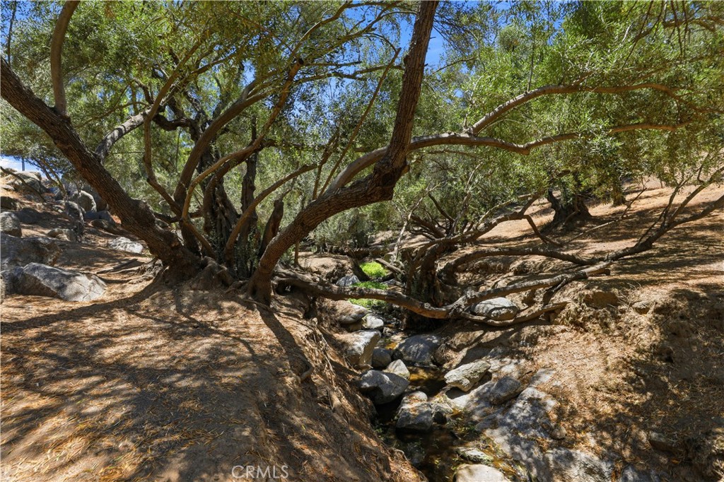 17115 Ranchero Property Photo 61