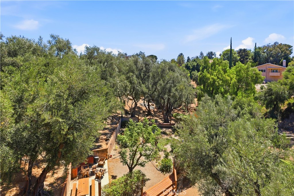 17115 Ranchero Property Photo 65