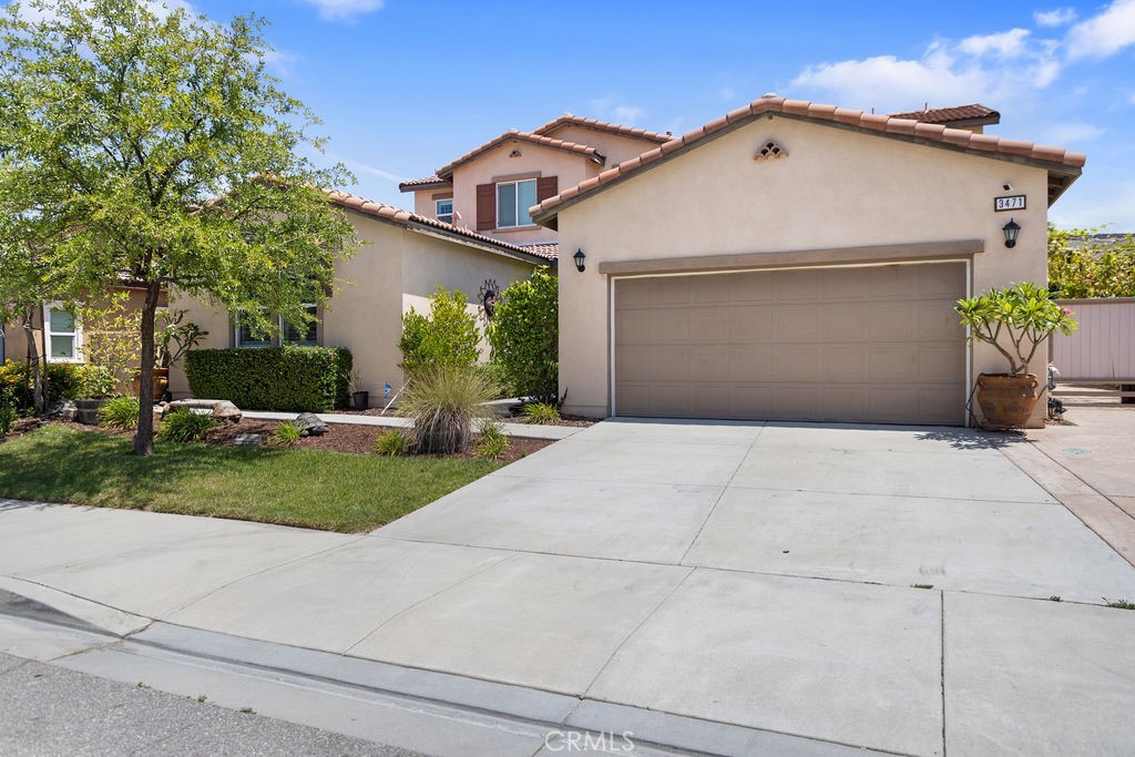 3471 Ribwort Property Photo 4