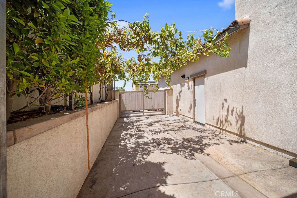 3471 Ribwort Property Photo 46