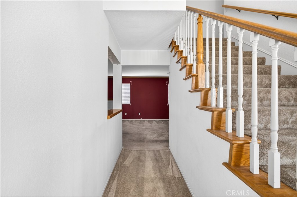 6727 Hawkley Drive Property Photo 20