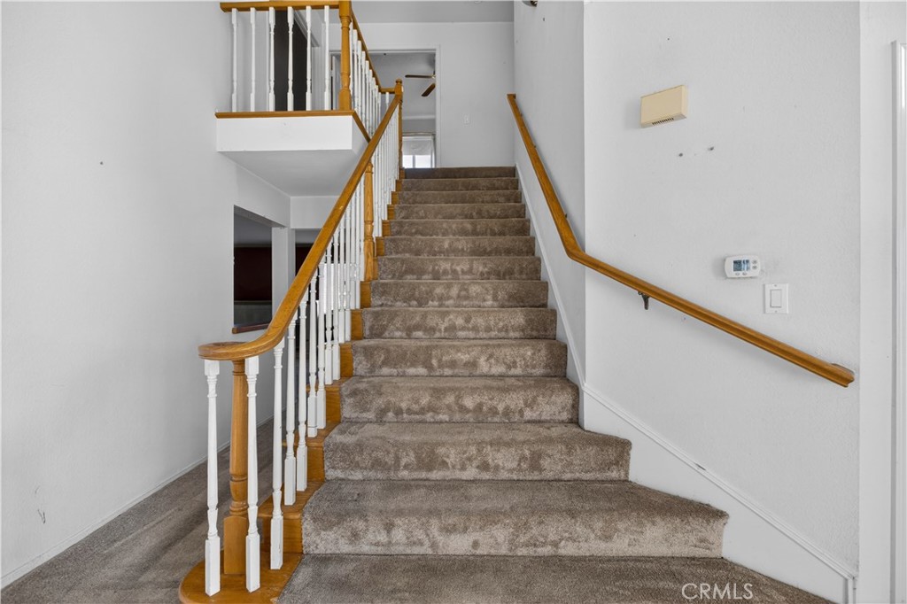 6727 Hawkley Drive Property Photo 21