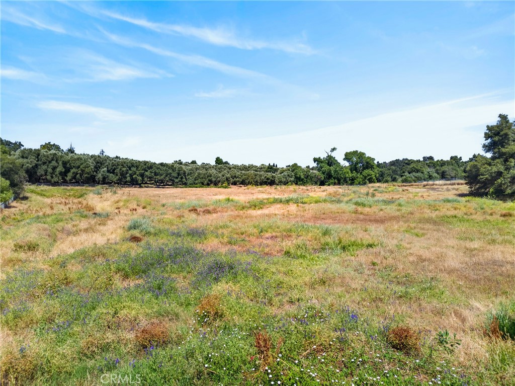 0 Walnut Avenue Property Photo 15