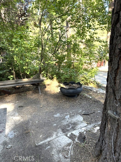 31858 Hollow Way Property Photo 10