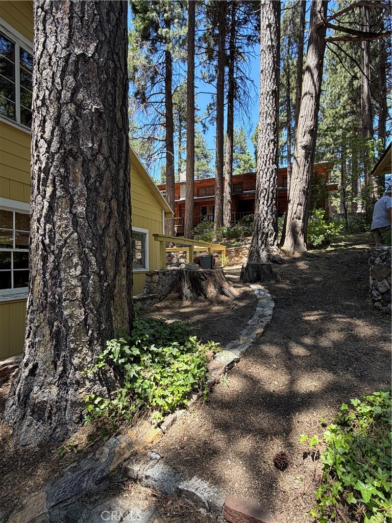 31858 Hollow Way Property Photo 11