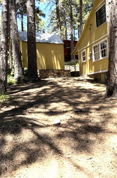 31858 Hollow Way Property Photo 14