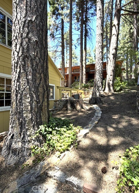 31858 Hollow Way Property Photo 15