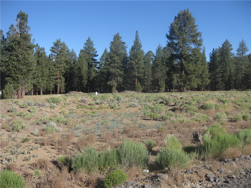 2824 Erwin Ranch Road Property Photo 3