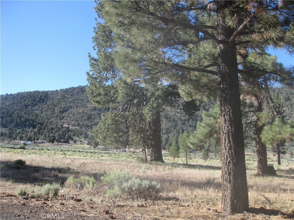 2824 Erwin Ranch Road Property Photo 4