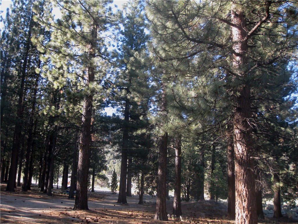 2818 Erwin Ranch Rd Property Photo 1