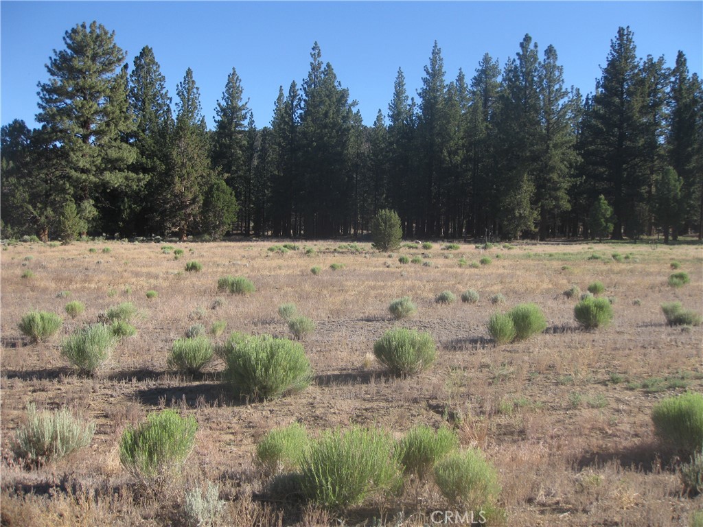 2818 Erwin Ranch Rd Property Photo 2