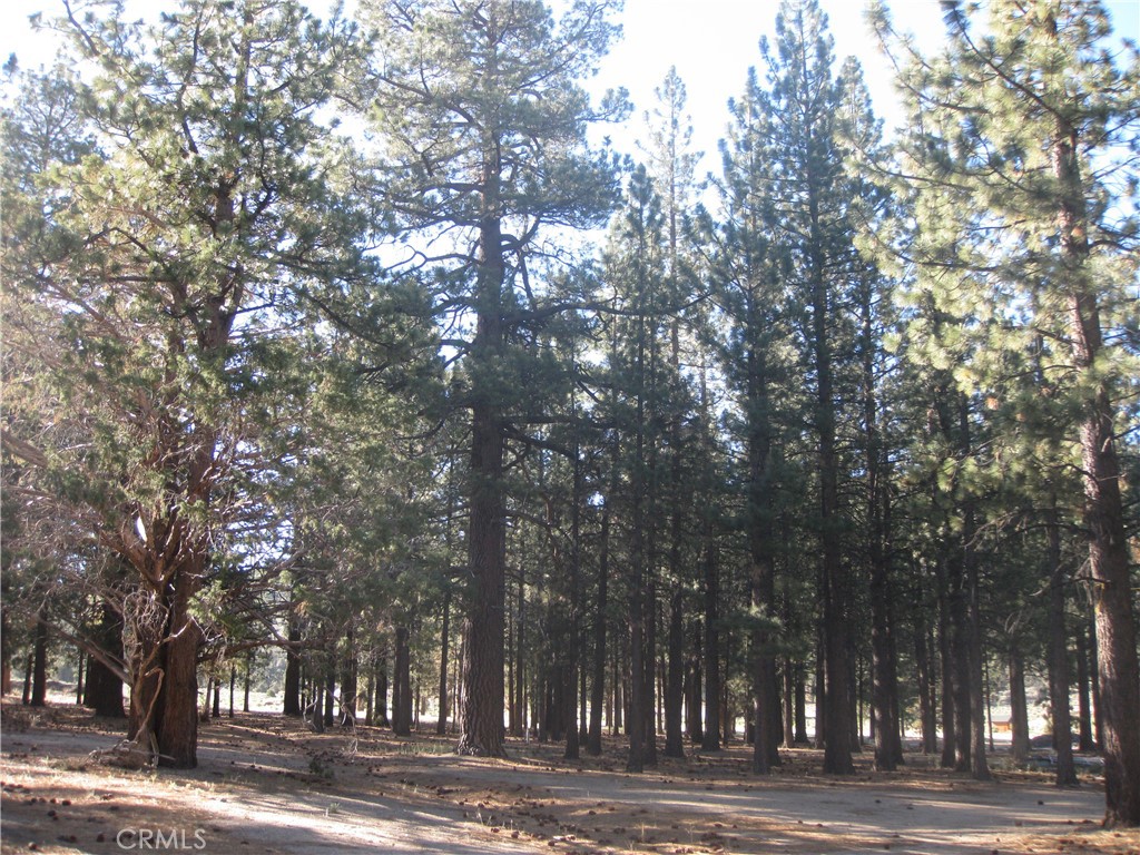 2818 Erwin Ranch Rd Property Photo 3