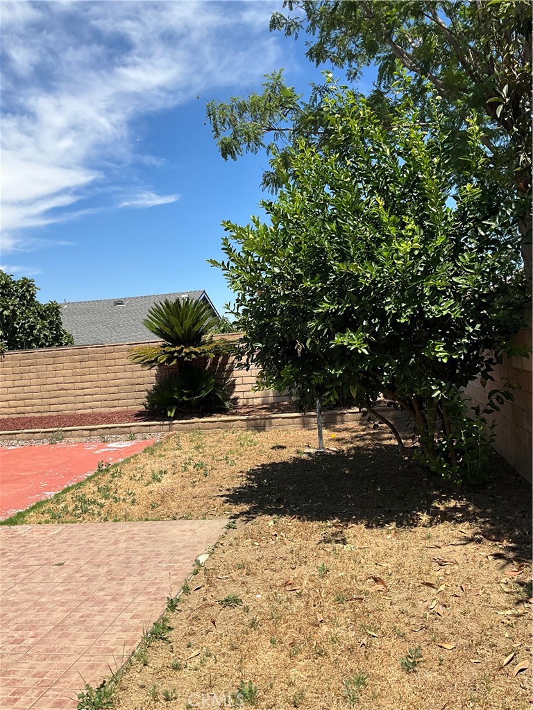 7941 Perlite Avenue Property Photo 36