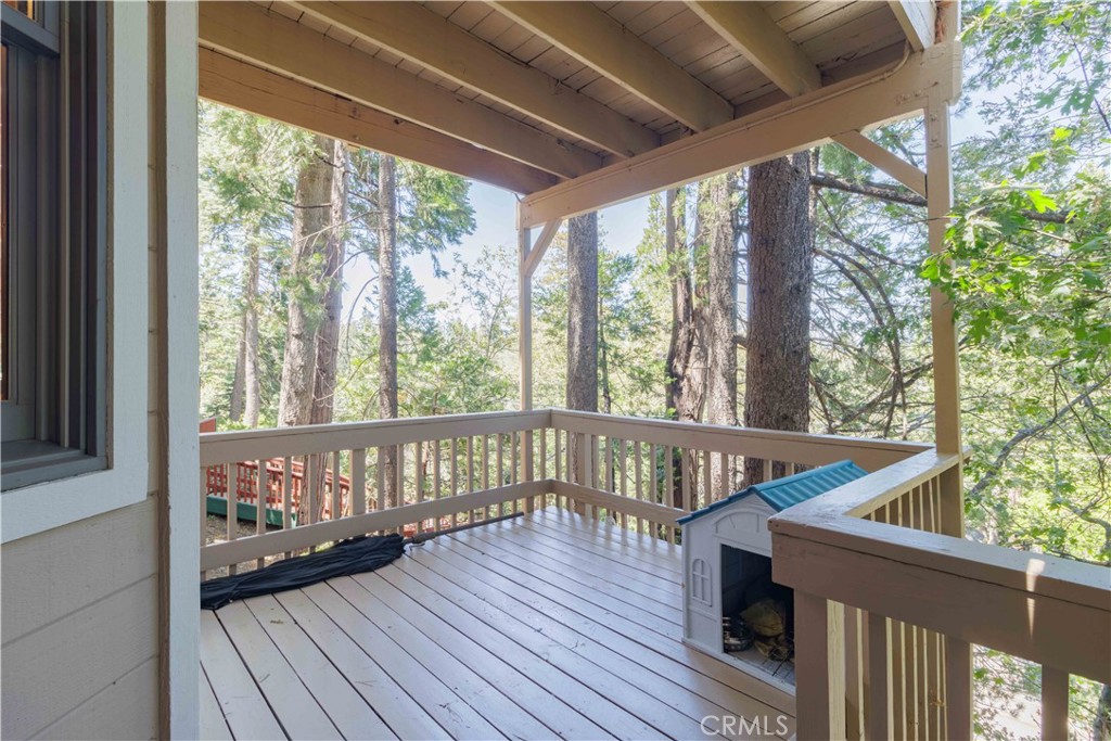226 Birchwood Property Photo 50