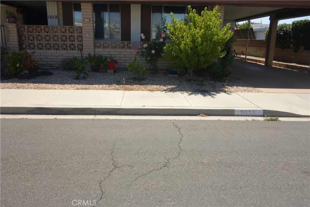 1018 San Nicolas Property Photo 55