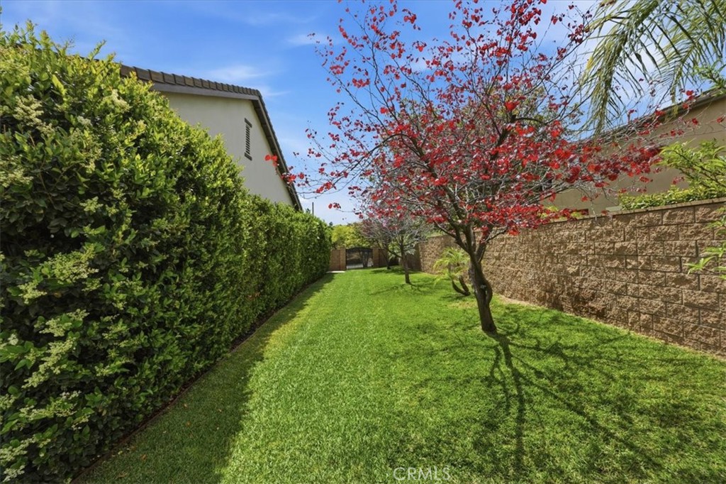 1125 Pamplona Property Photo 37