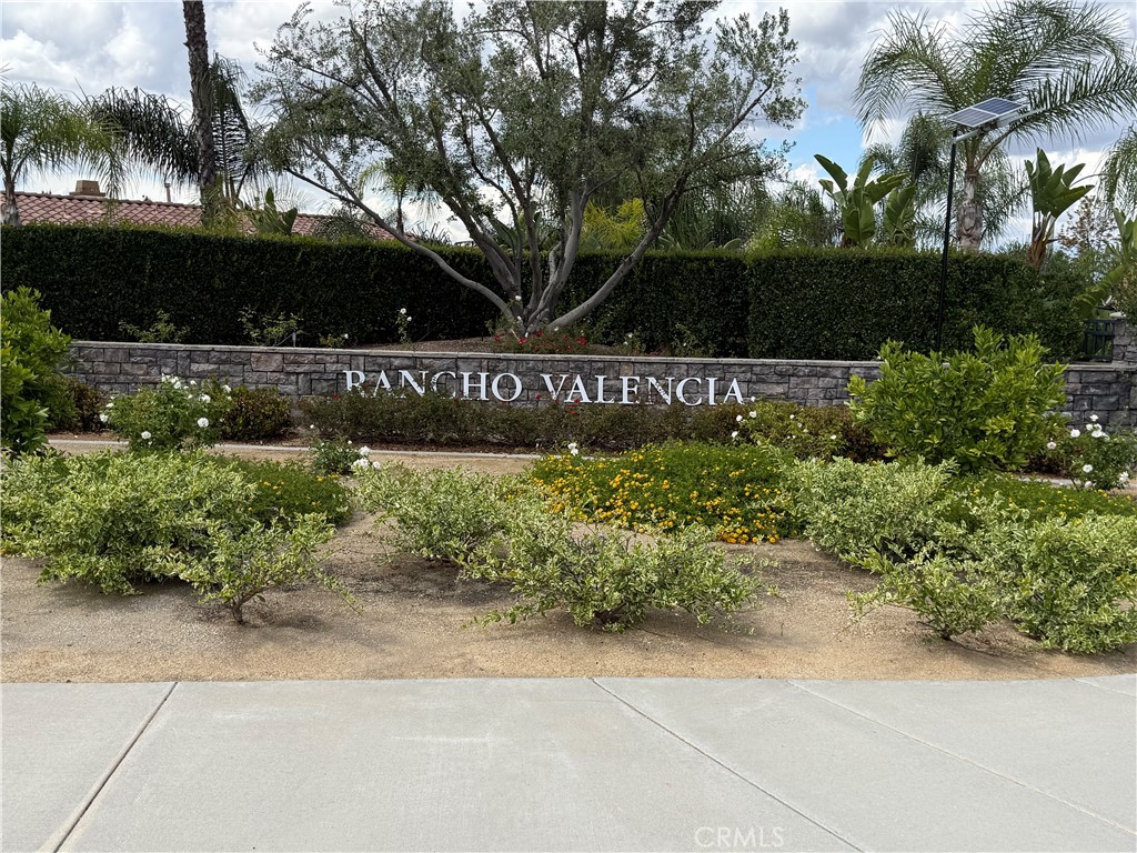 1125 Pamplona Property Photo 44