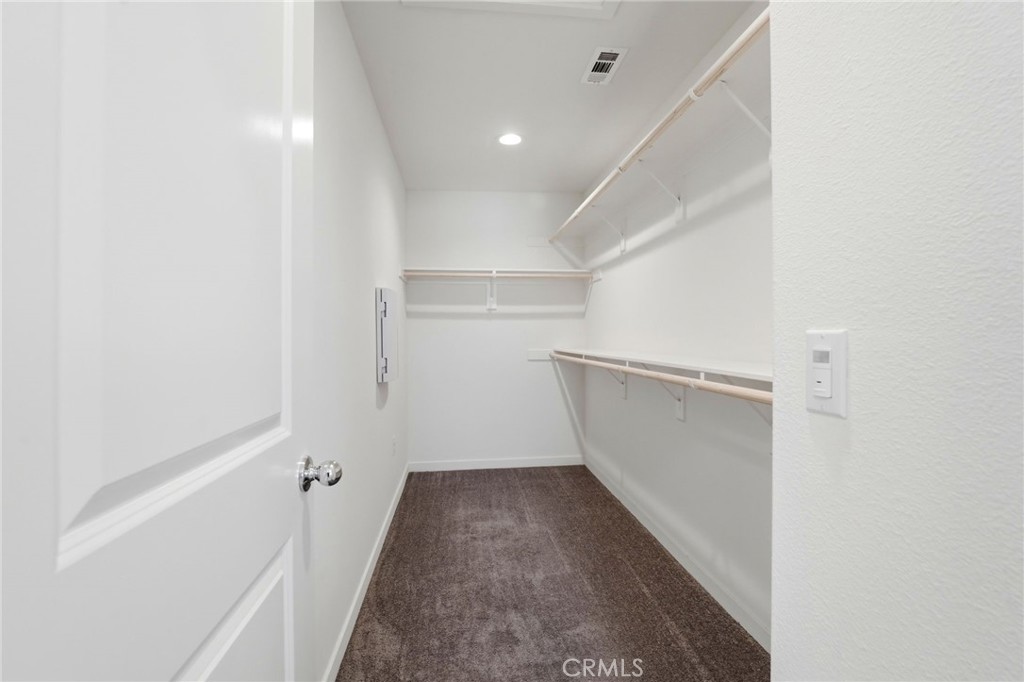 27366 Basalt Property Photo 19