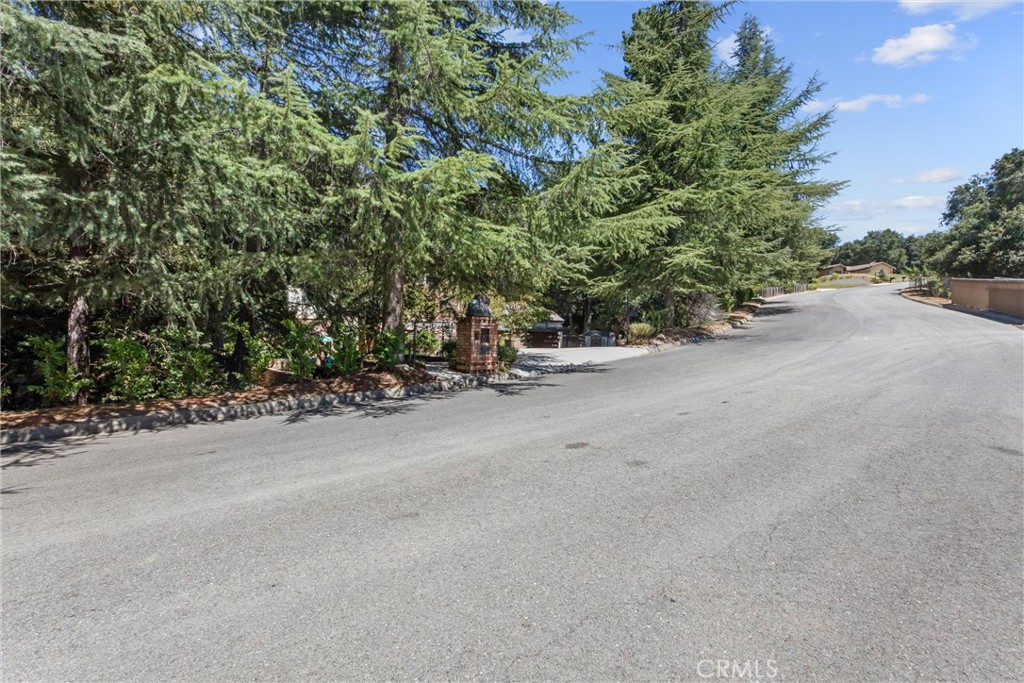 13515 Oak Mountain Property Photo 6